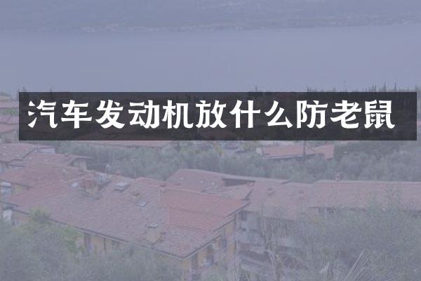 汽车发动机放什么防老鼠