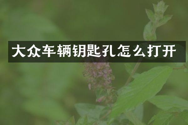 大众车辆钥匙孔怎么打开