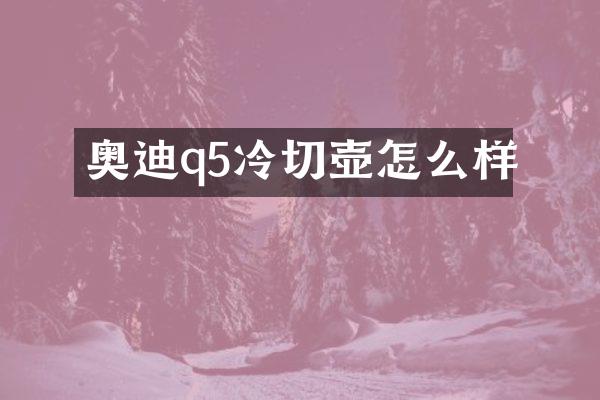 奥迪q5冷切壶怎么样