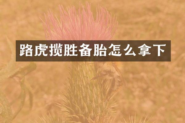路虎揽胜备胎怎么拿下