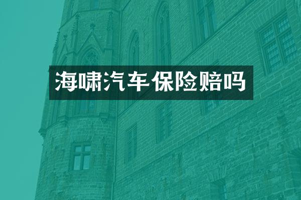 海啸汽车保险赔吗