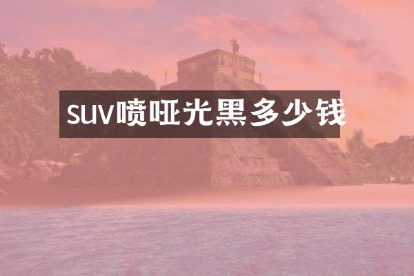 suv喷哑光黑多少钱