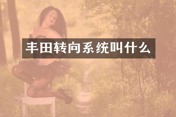 丰田转向系统叫什么