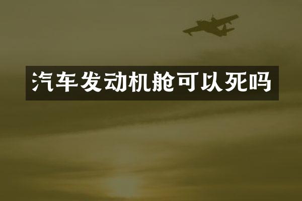 汽车发动机舱可以死吗