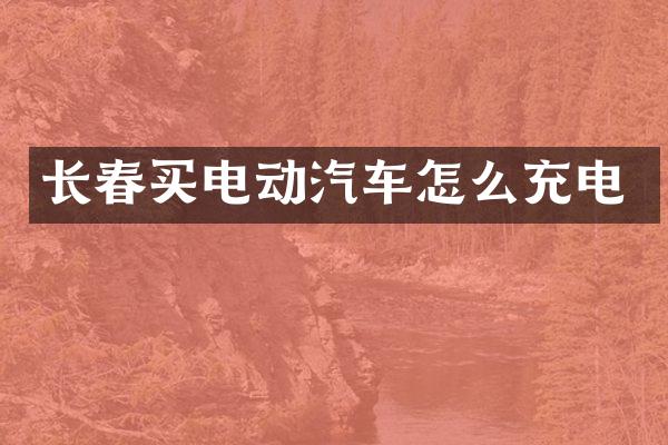 长春买电动汽车怎么充电