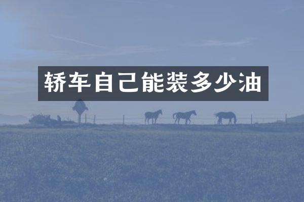 轿车自己能装多少油
