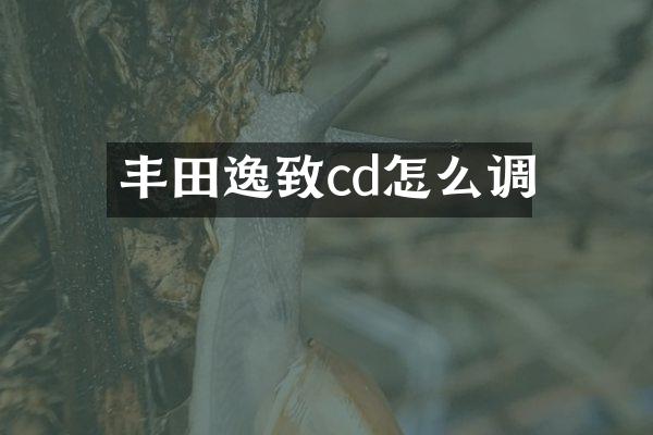 丰田逸致cd怎么调
