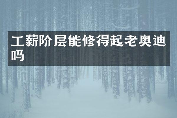 工薪阶层能修得起老奥迪吗