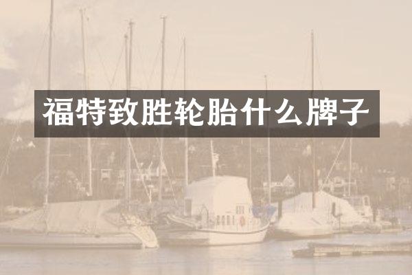 福特致胜轮胎什么牌子
