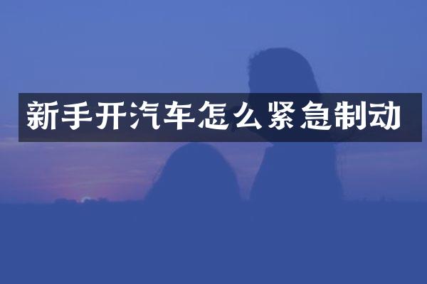 新手开汽车怎么紧急制动