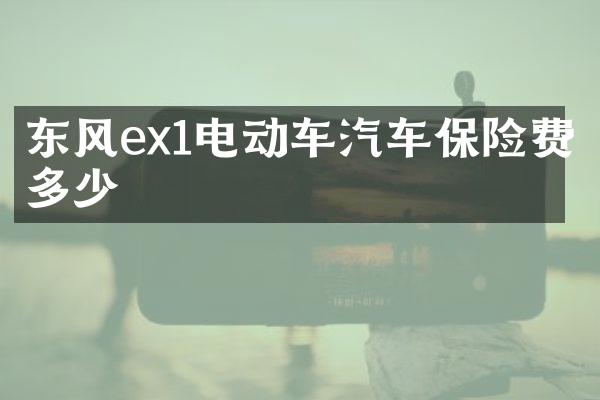 东风ex1电动车汽车保险费多少