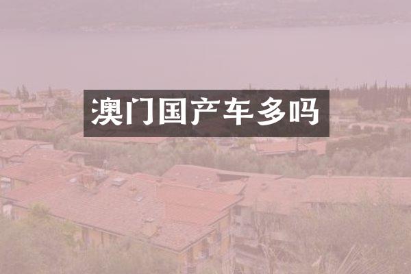 澳门国产车多吗