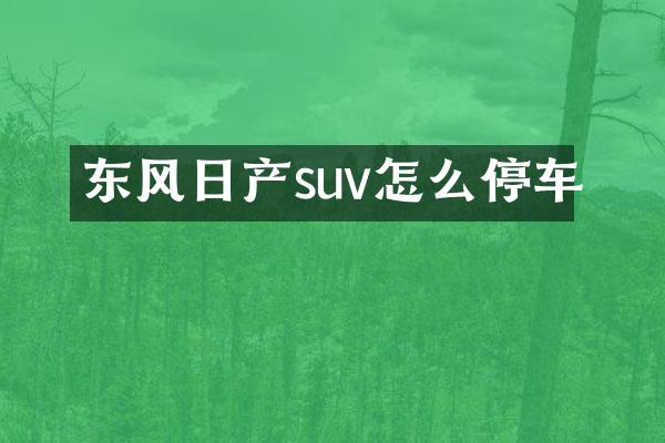 东风日产suv怎么停车