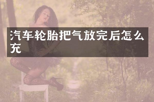 汽车轮胎把气放完后怎么充