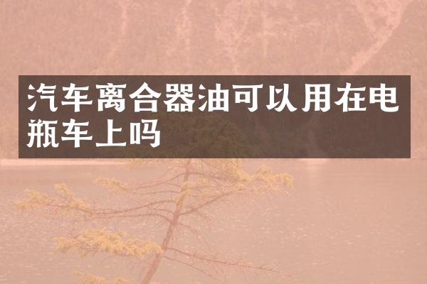 汽车离合器油可以用在电瓶车上吗