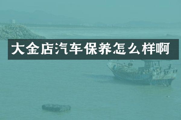 大金店汽车保养怎么样啊