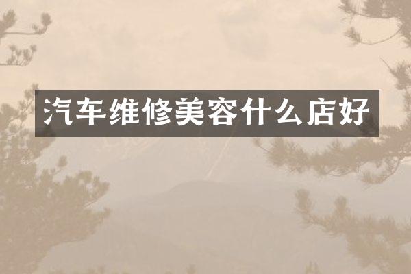 汽车维修美容什么店好