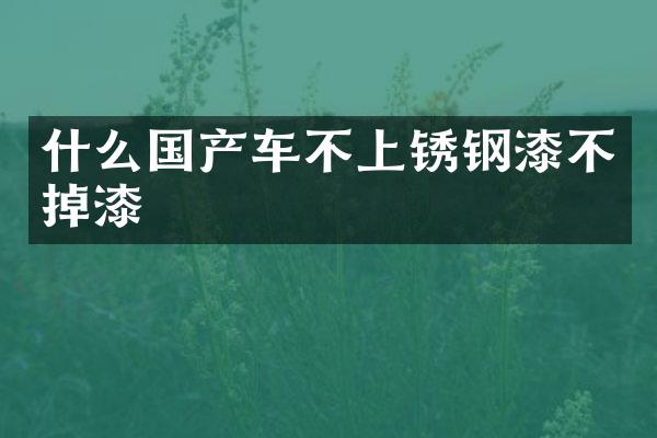 什么国产车不上锈钢漆不掉漆