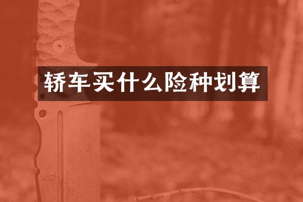 轿车险种划算
