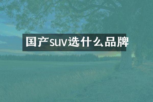 国产suv选什么品牌