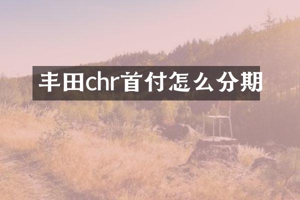丰田chr首付怎么分期