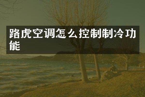 路虎空调怎么控制制冷功能
