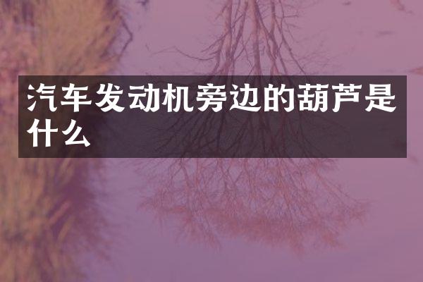 汽车发动机旁边的葫芦是什么
