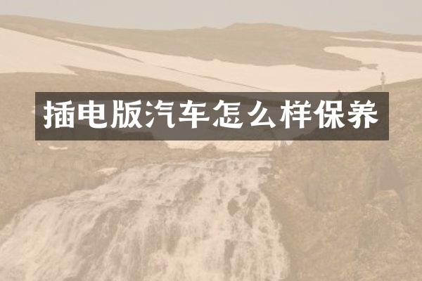 插电版汽车怎么样保养