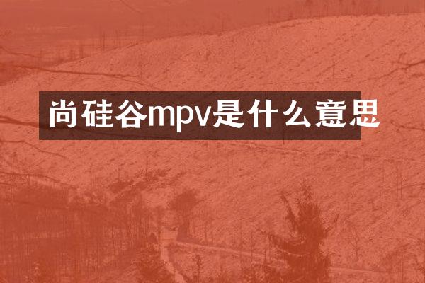 尚硅谷mpv是什么意思