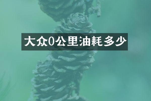 大众0公里油耗多少