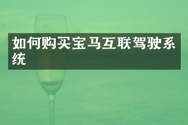 如何购买宝马互联驾驶系统
