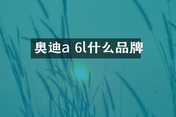 奥迪a 6l什么品牌