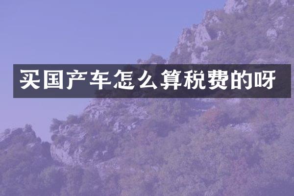 买国产车怎么算税费的呀