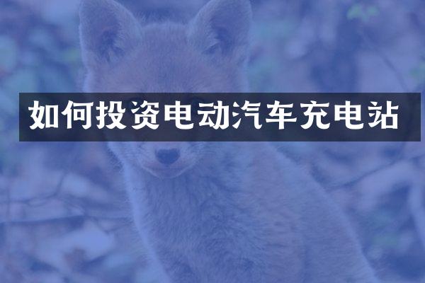 如何投资电动汽车充电站