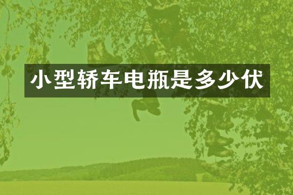 小型轿车电瓶是多少伏