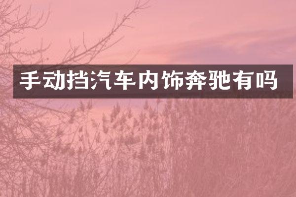 手动挡汽车内饰奔驰有吗