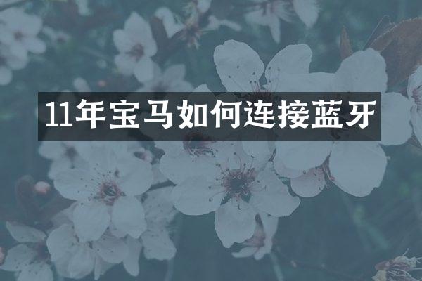 11年宝马如何连接蓝牙