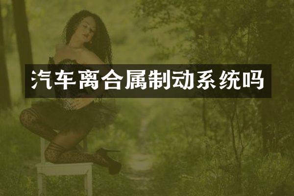 汽车离合属制动系统吗