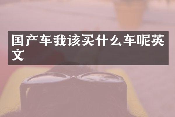 国产车我该车呢英文