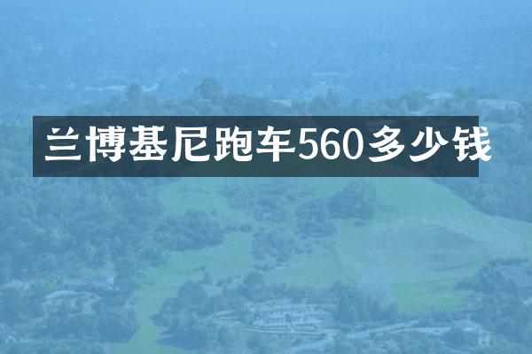 兰博基尼跑车560多少钱