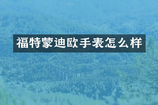 福特蒙迪欧手表怎么样