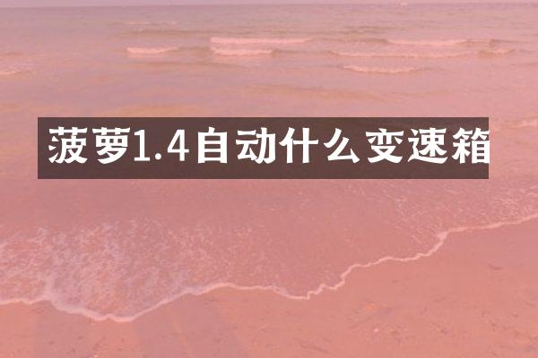 菠萝1.4自动什么变速箱