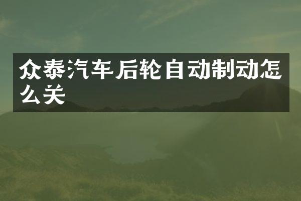 众泰汽车后轮自动制动怎么关