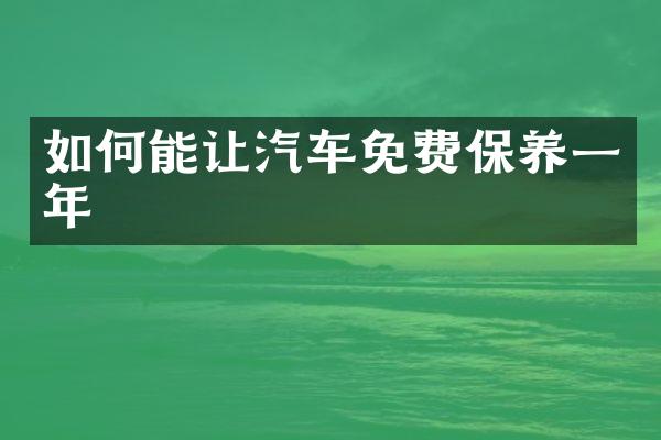 如何能让汽车免费保养一年
