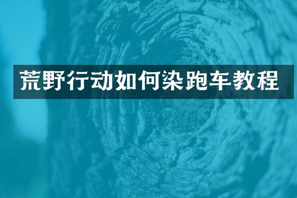 荒野行动如何染跑车教程