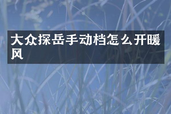 大众探岳手动档怎么开暖风