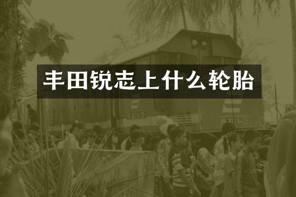 丰田锐志上什么轮胎