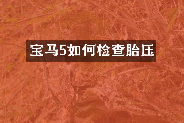 宝马5如何检查胎压