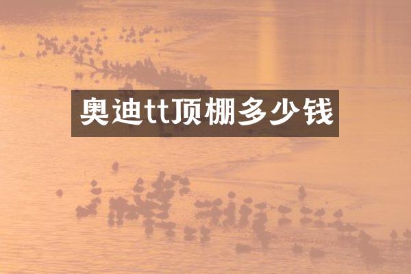 奥迪tt顶棚多少钱