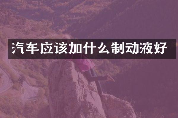 汽车应该加什么制动液好